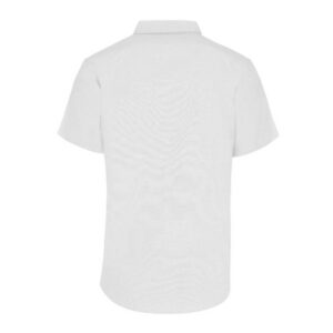 Camisa Oxford Manga Corta para Caballero · 75% Algodón 25% Poliéster: imagen 9