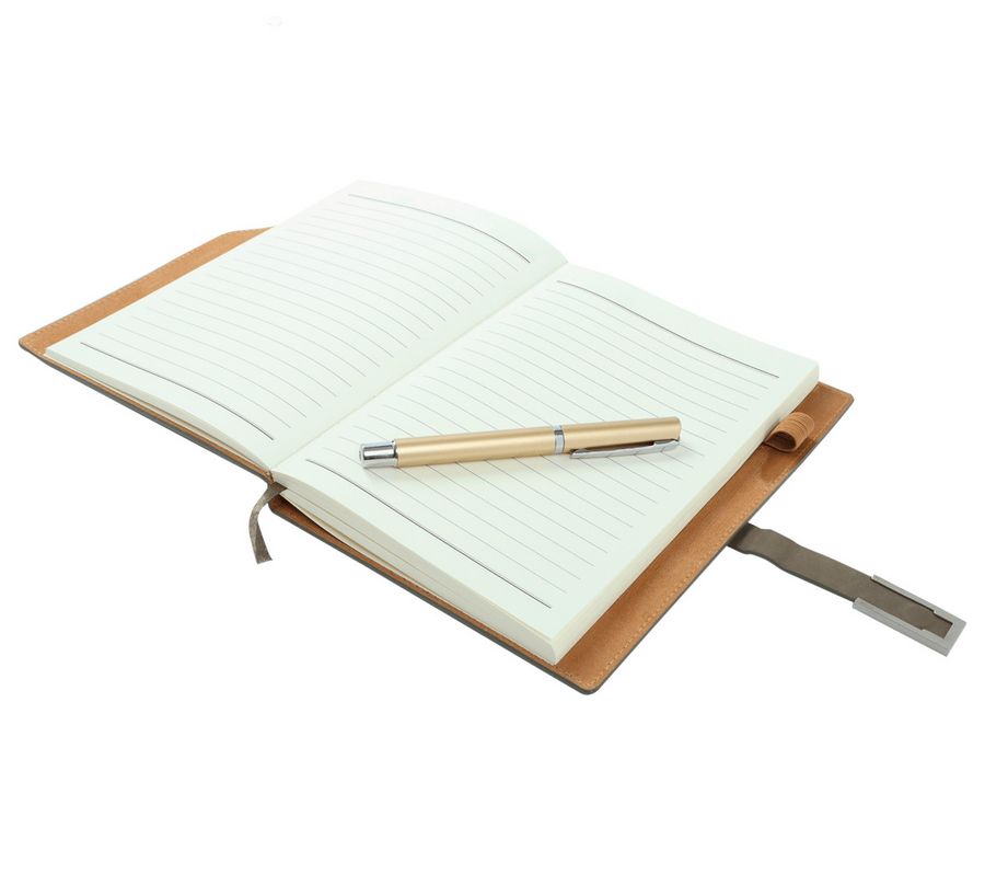 Agenda Denik